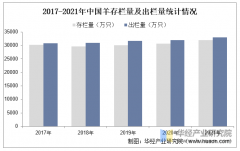 2025年中国湖羊养殖行业市场规模、产量及